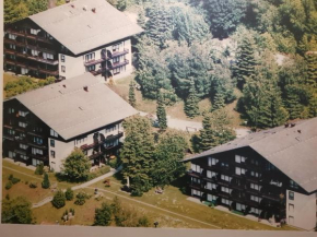 1-Zimmer-Appartement - Bayerischer Wald, Langfurth